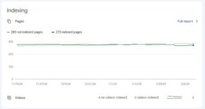 screenshot example of indexed pages on Google Search Console